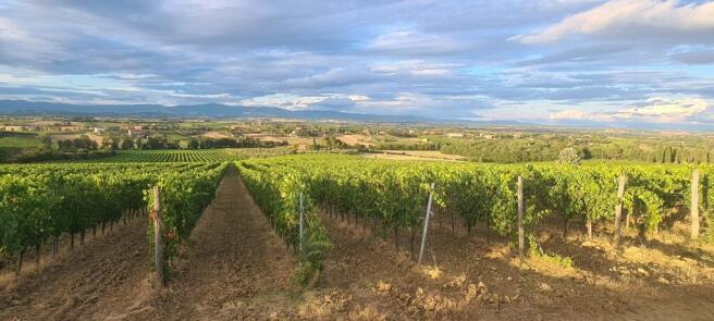 ff-6c634051e7f938f5a