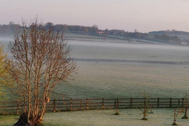 morning view.jpg