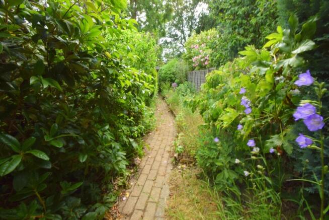 Path