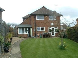 Garden 3