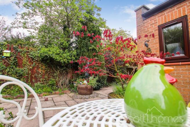 IMG_1006.jpg