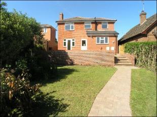 Rear Elevation