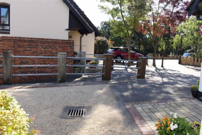 Photo 11
