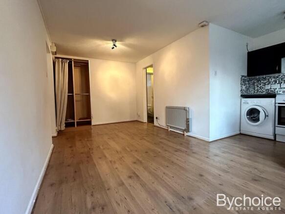 Living Room/Bedroom