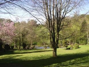 View over Garden