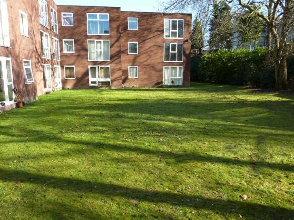 Communal Garden C