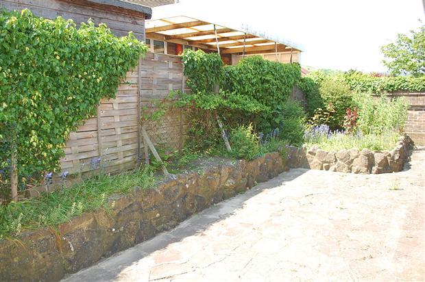 Rear Patio