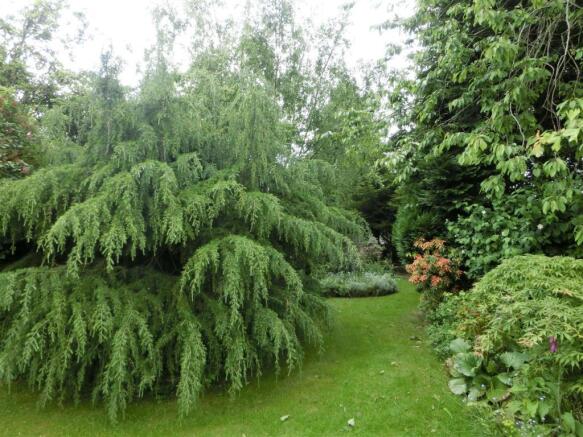 Ann Road 17 garden 2.jpg