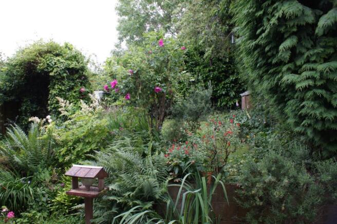 Photo 11