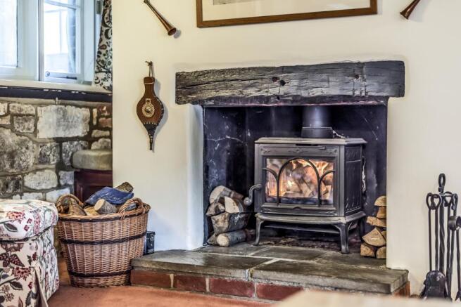 Wood Burning Stove