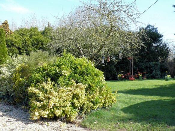 Photo 22