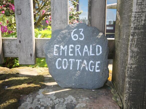 Image 15