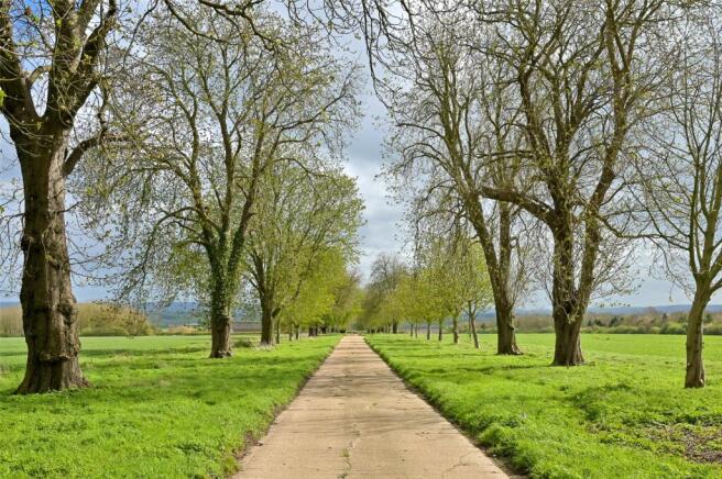 Driveway