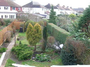 garden