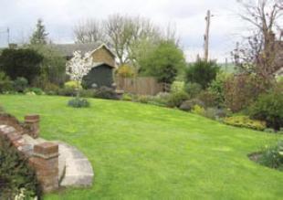garden shot 3