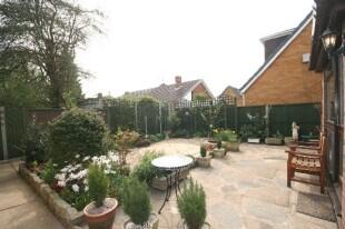 Back Garden