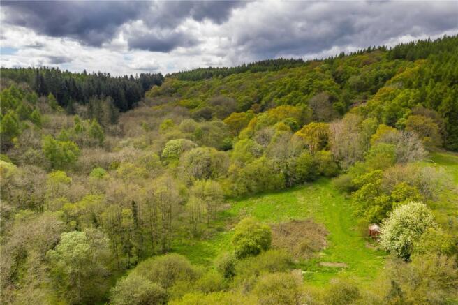 Woodland