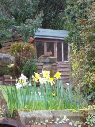 Summerhouse