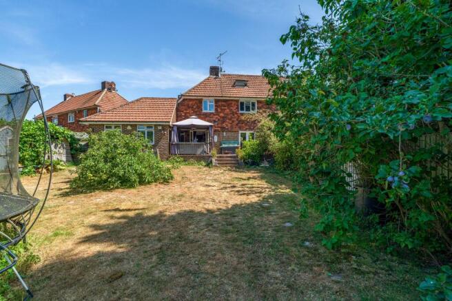 Back garden