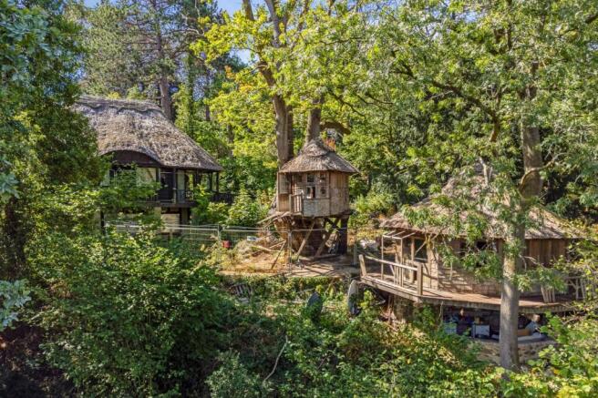 Tree House
