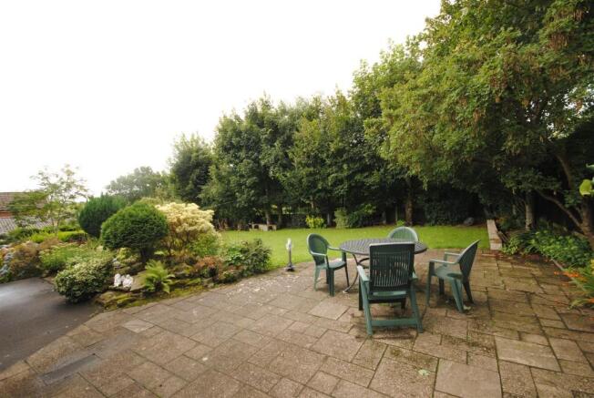 DSC_0050.JPG