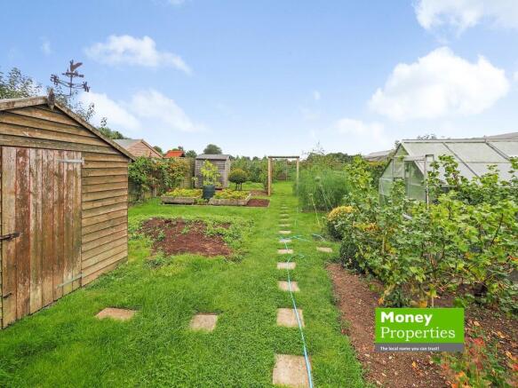 vegetable garden