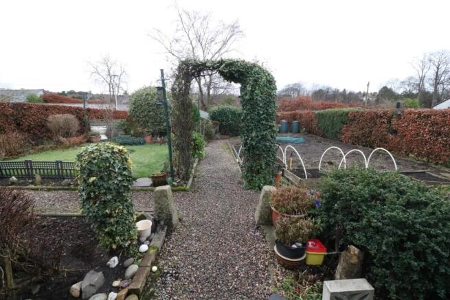garden.JPG