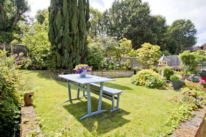 Photo 14