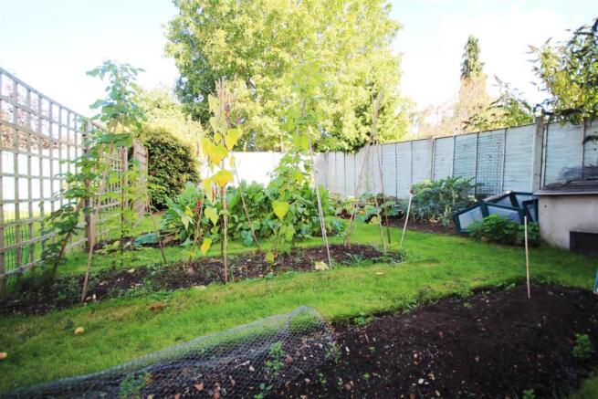 garden 3.JPG