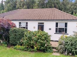 Owls Hoot, Parkend Road, Bream GL15 6JX