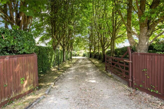 Driveway
