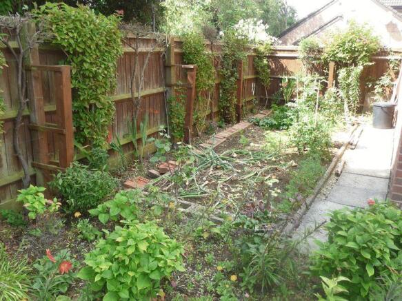 Photo 11