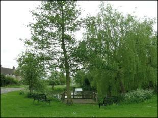 Village Pond