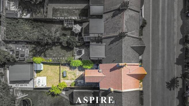birdseye