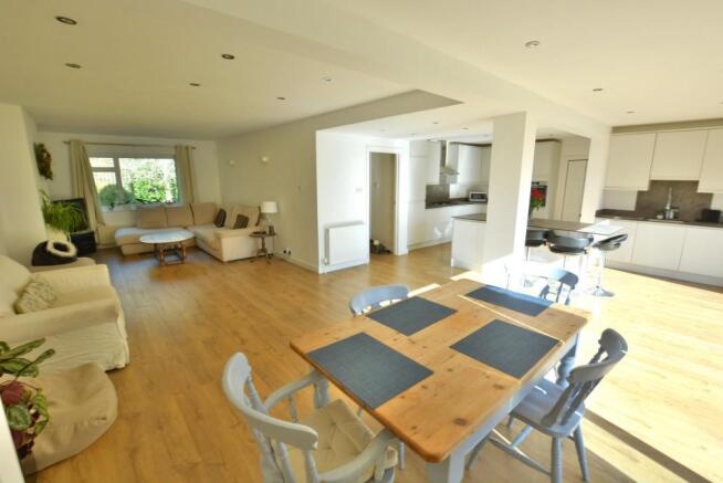 Sitting/dining/kitchen area