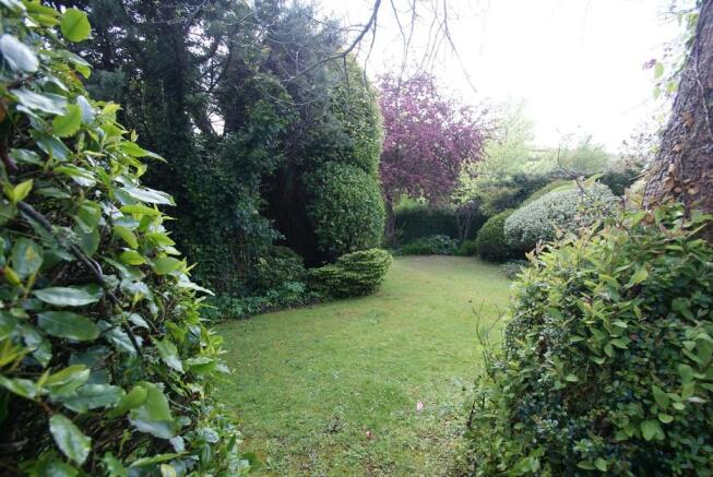 Photo 26