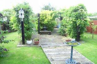 Rear Gardens
