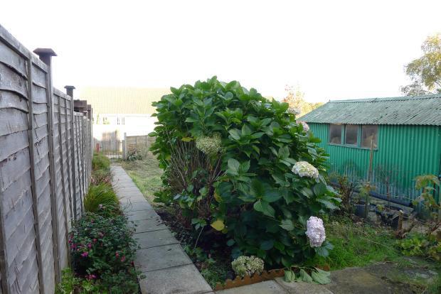 Image 07