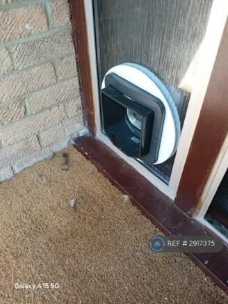 Front Door Cat Flap