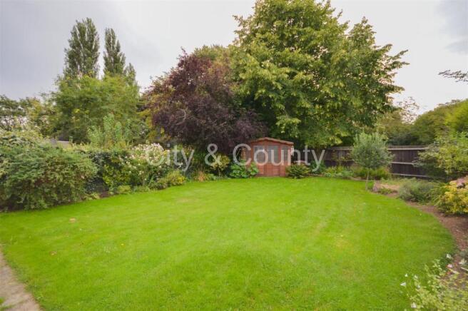 rear garden.jpg