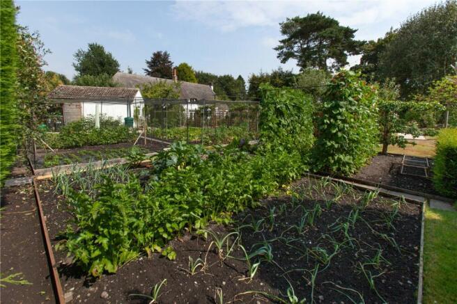 Vegetable Garden