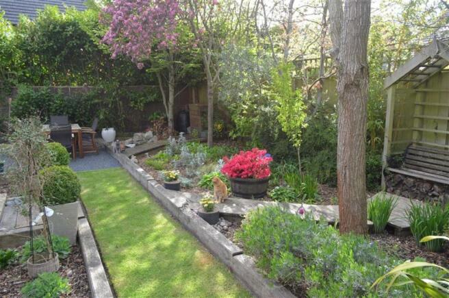 Photo 11