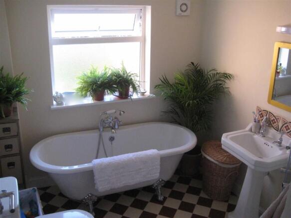 Photo 7