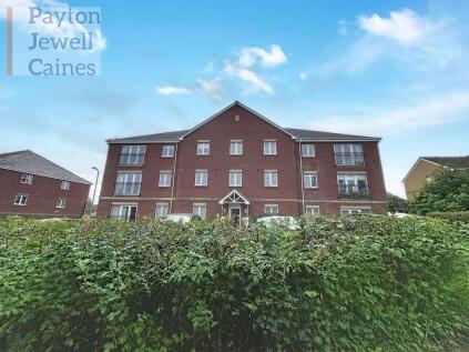 Wild Field, Bridgend, CF31