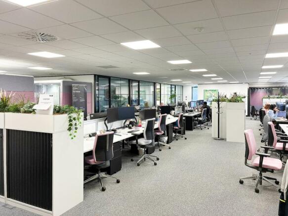 IMG_1942.jpg
