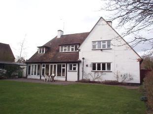 Rear Elevation