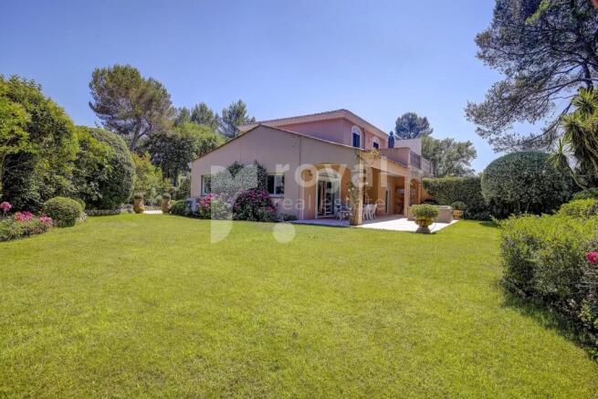 Sunny large garden in a modern contemporary villa