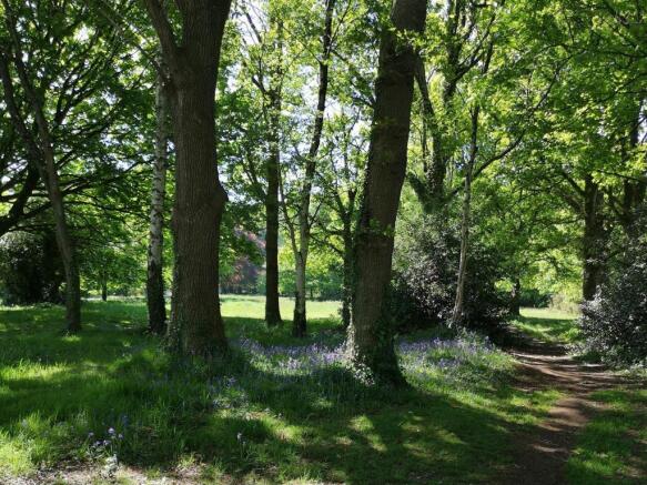 Kilmington Common Near By.jpg