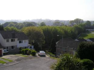 View from front