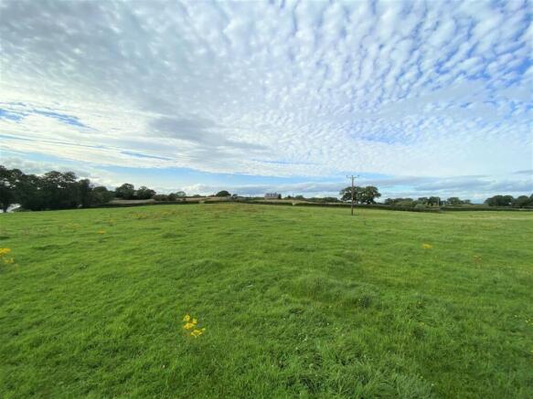field.JPG